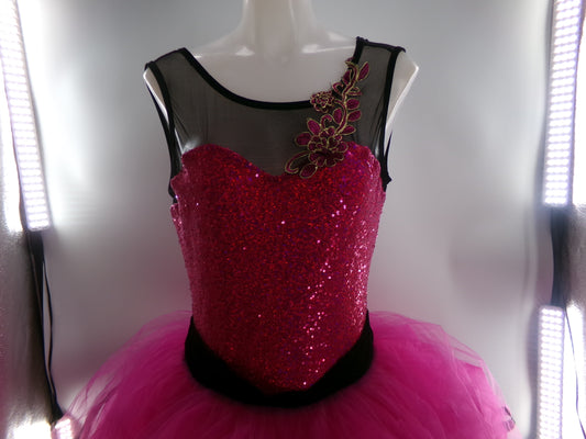 Pre-Owned Costume Large Adult Pink Curtain Call E1656 Ballet Pointe YAGP Tutu Sequin Lace