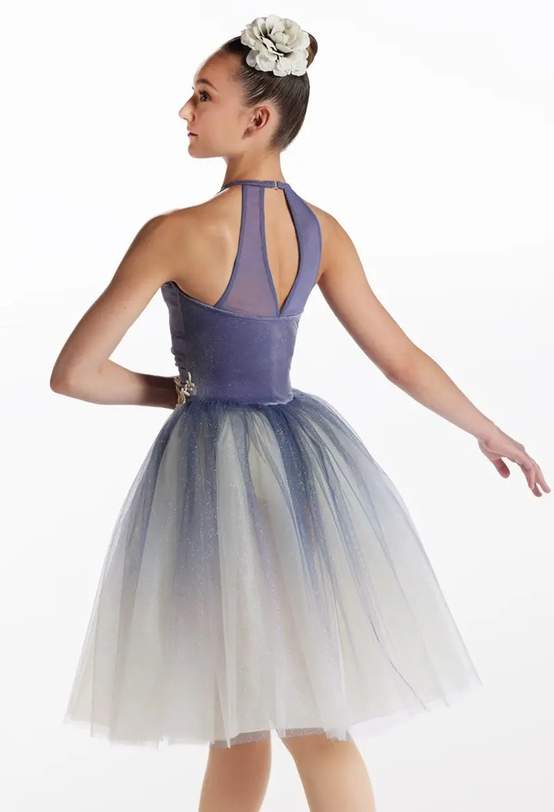 Pre-Owned Costume XS Adult Blue Weissman 16338 Ballet Pointe YAGP Tutu Glitter Velvet
