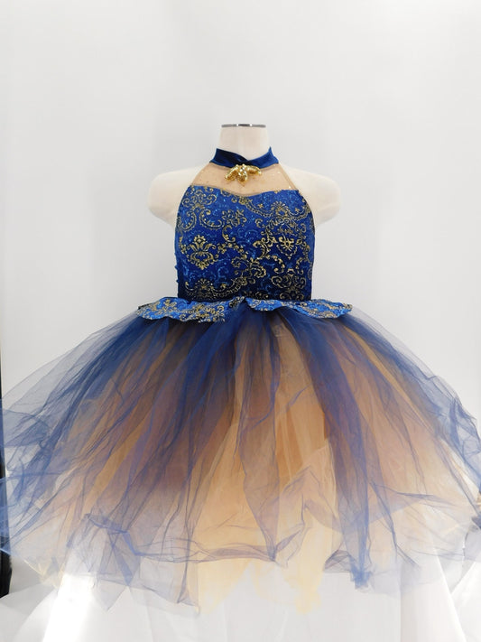 Pre-Owned Costume Cicci   Large Child Royal Blue-Gold  Ballet