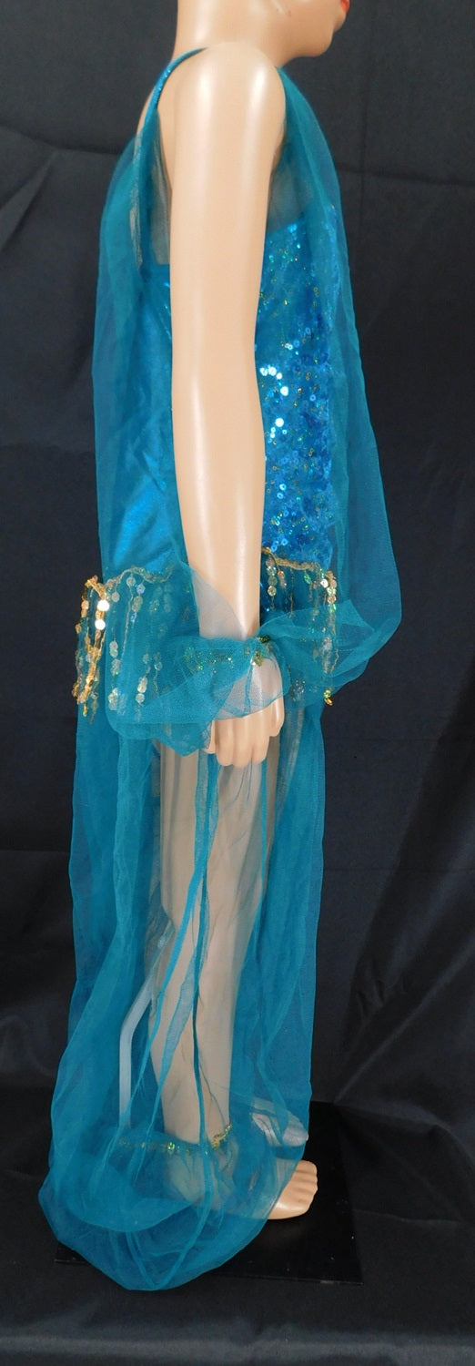 Pre-Owned Costume Curtain Call  E833 Medium Child Turquoise Jasmine