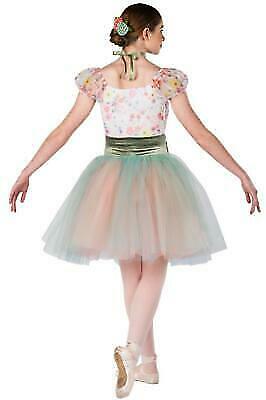Pre-Owned Costume Dansco  19438 Medium Child Sage  Ballet