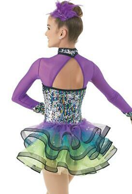 Pre-Owned Costume Weissman 9887 Large Adult Purple Back Skirt Jazz Sequin