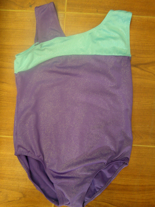 Pre-Owned Gymnastics Leotard Medium Child Elsa Frozen Biketard Acro Jazz